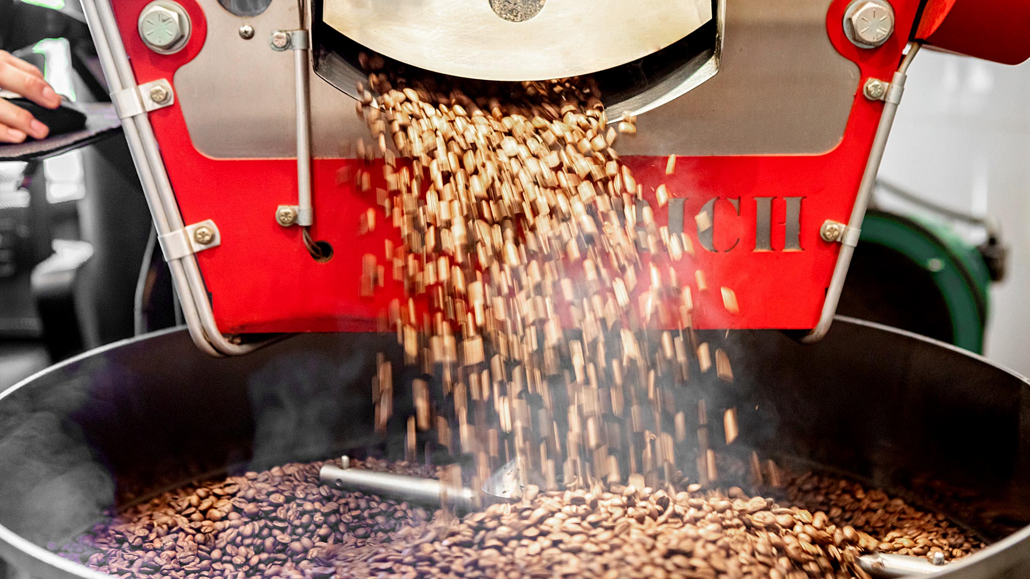 Roasted coffee beans being dumped from a coffee roaster